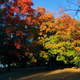 Illustration for article titled 48 Photos Of Autumn Around The World